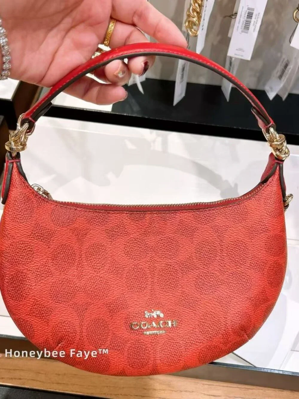 Mini Payton Bag In Signature Canvas CEL06